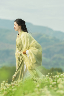 任达华电影全集国语版